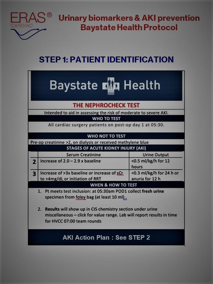 Baystate Health AKI Protocol